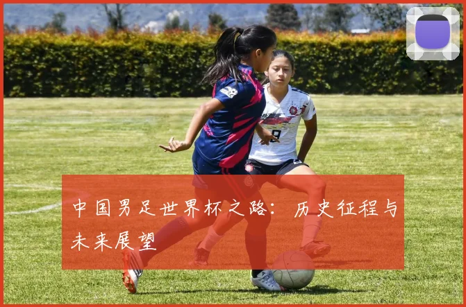 中国男足世界杯之路:历史征程与未来展望